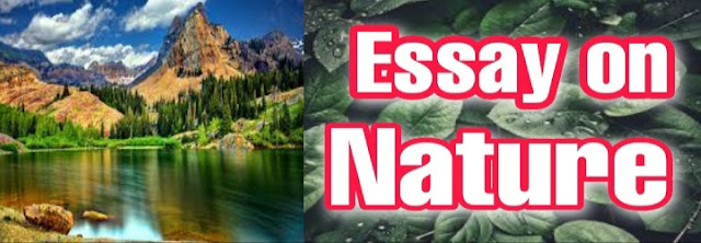 college essay examples about nature