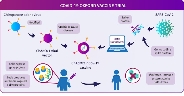 A diagram showing how the Oxford COVID-19 vaccine works