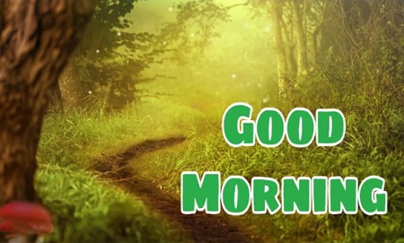 Good Morning Good Morning