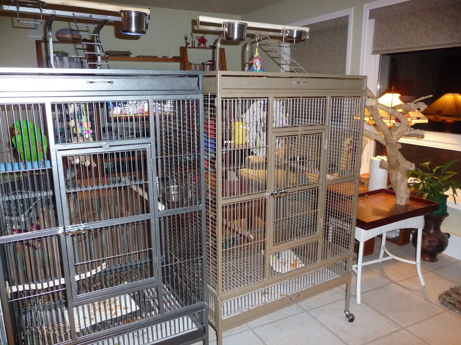 Beaker's Parrot Place