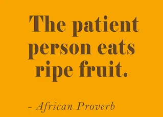 The patient person eats ripe fruit. - African Proverb
