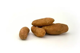 immune system booster foods