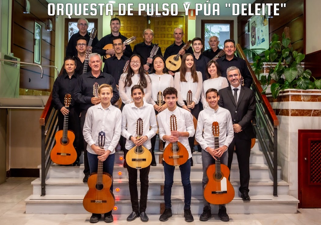 Orquesta Pulso y Púa Deleite