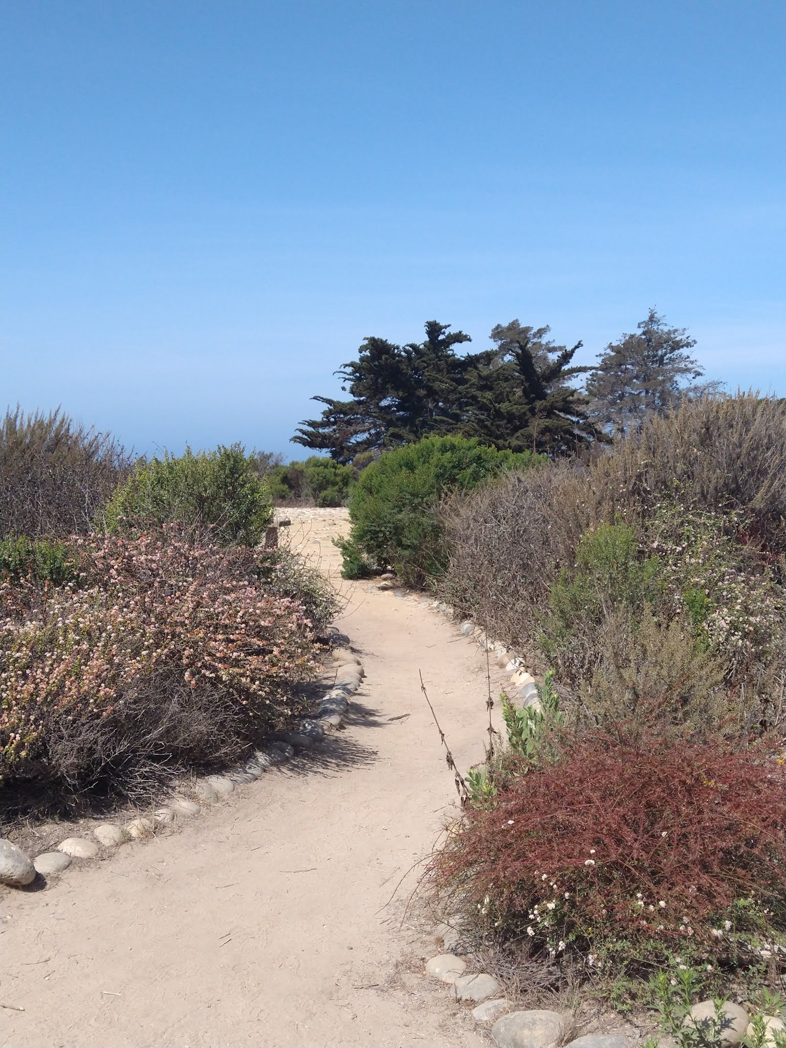 Little Patch of Earth UCSB Labyrinth Trail