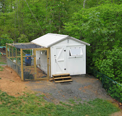 chicken coop mistakes building usen alan posted
