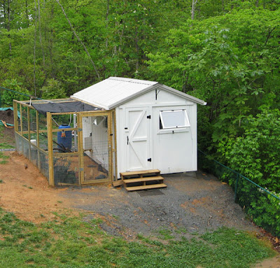 Chicken House Plans: Chicken Coop Building Mistakes