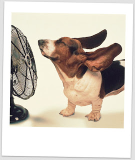 Talking about the weather is not conversation