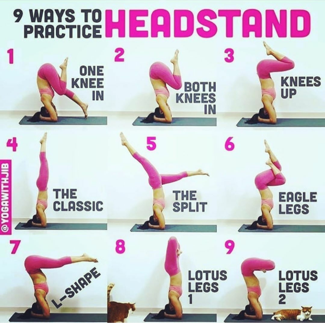 K Karthik Raja's Knowledge Library 9 ways to headstand practice
