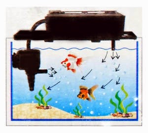 Tips Memilih Filter Akuarium Dunia Akuarium