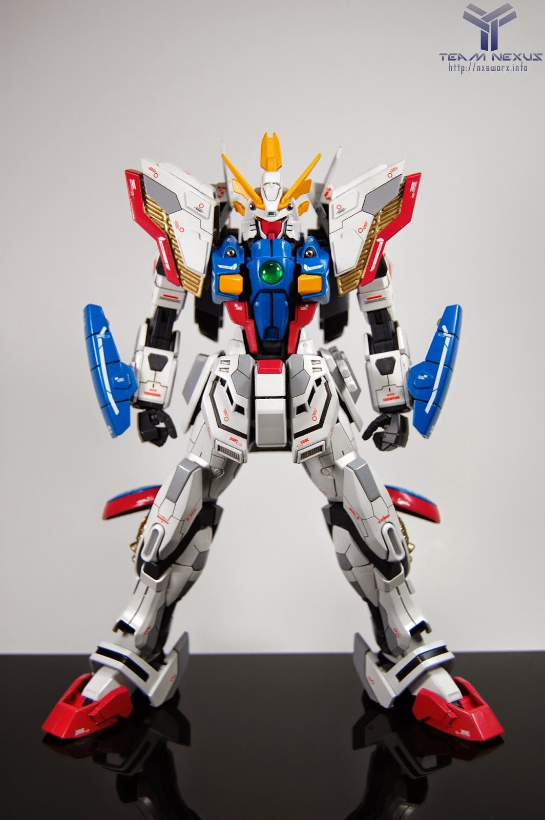 Custom Build: MG 1/100 Shining Gundam "Evolve"