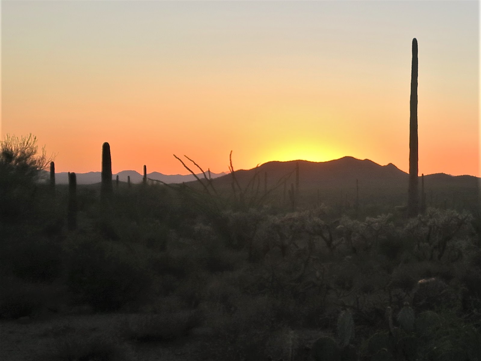 Living Rootless Tucson, AZ Sunset at G5