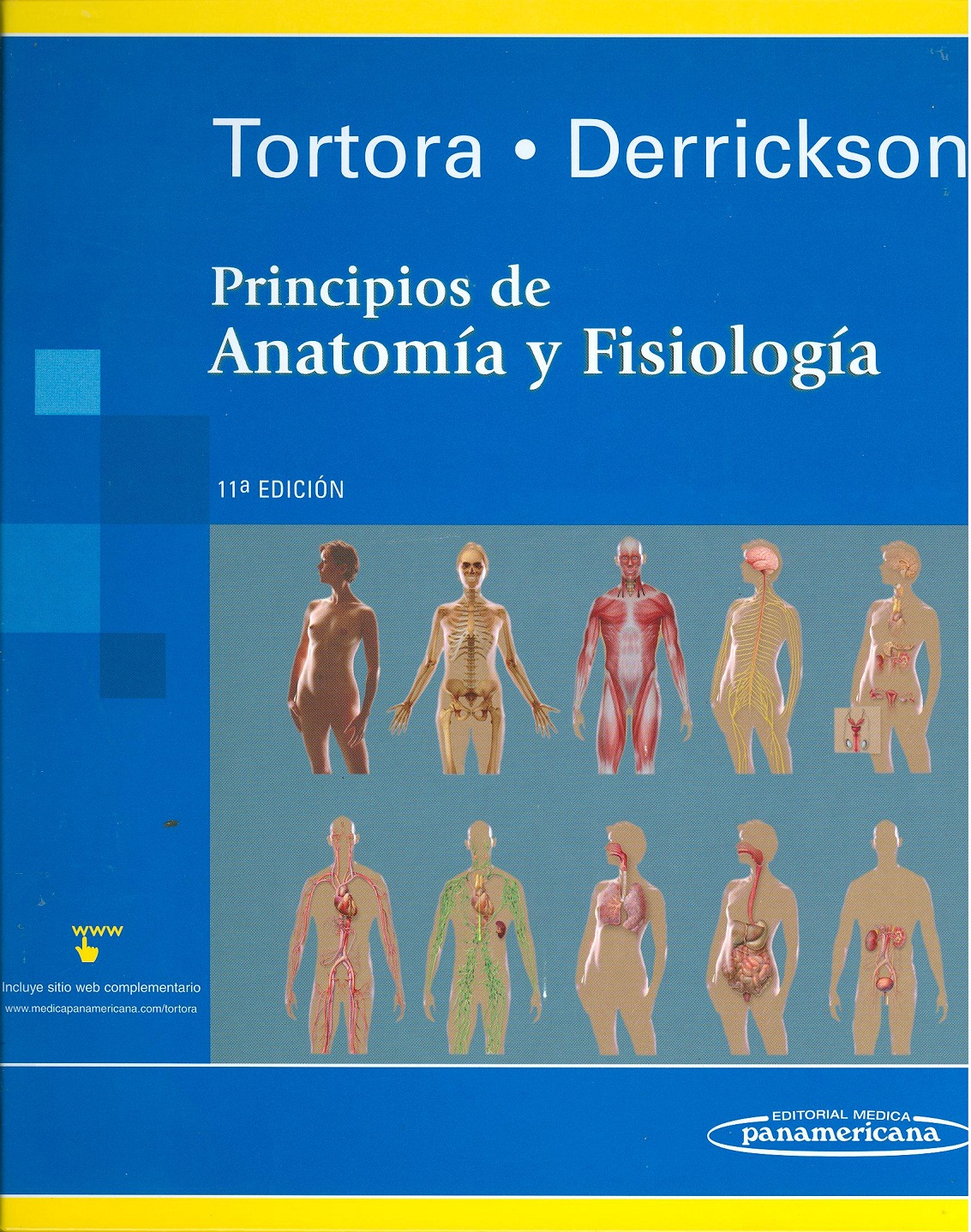 Principios de Anatomía y Fisiología Tortora