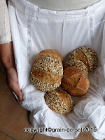 http://salzkorn.blogspot.fr/2015/10/vielfaltige-landbrotchen-mit.html