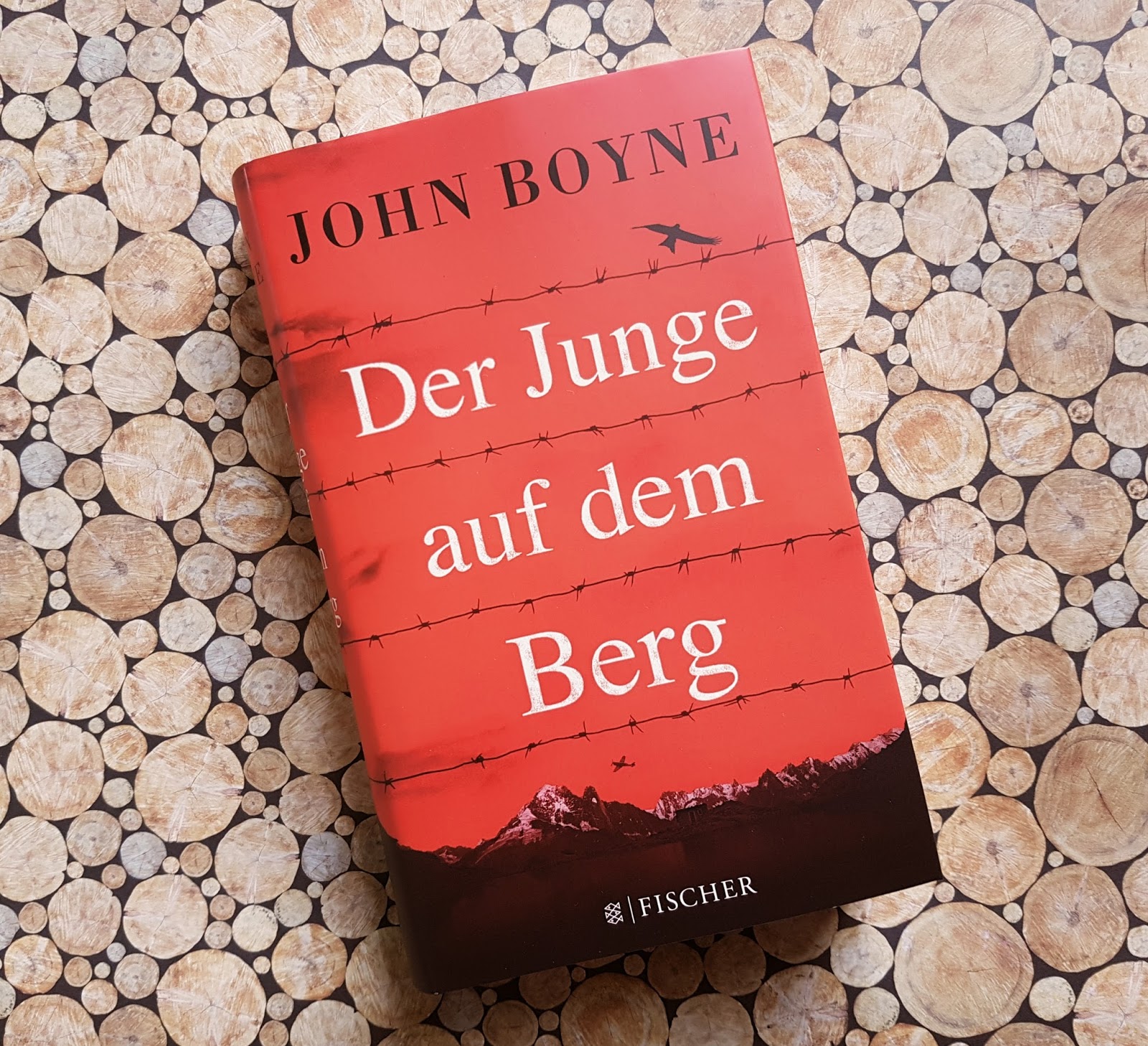 Buchsichten: [Rezension Hanna] Der Junge auf dem Berg - John Boyne