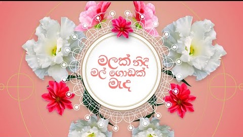 Malak Nidi Mal Godak Meda Song Lyrics - මලක් නිදි මල් ගොඩක් මැද ගීතයේ පද පෙළ