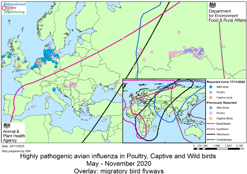 Avian Flu Diary DEFRA Updated European HPAI Outbreak Assessment 6