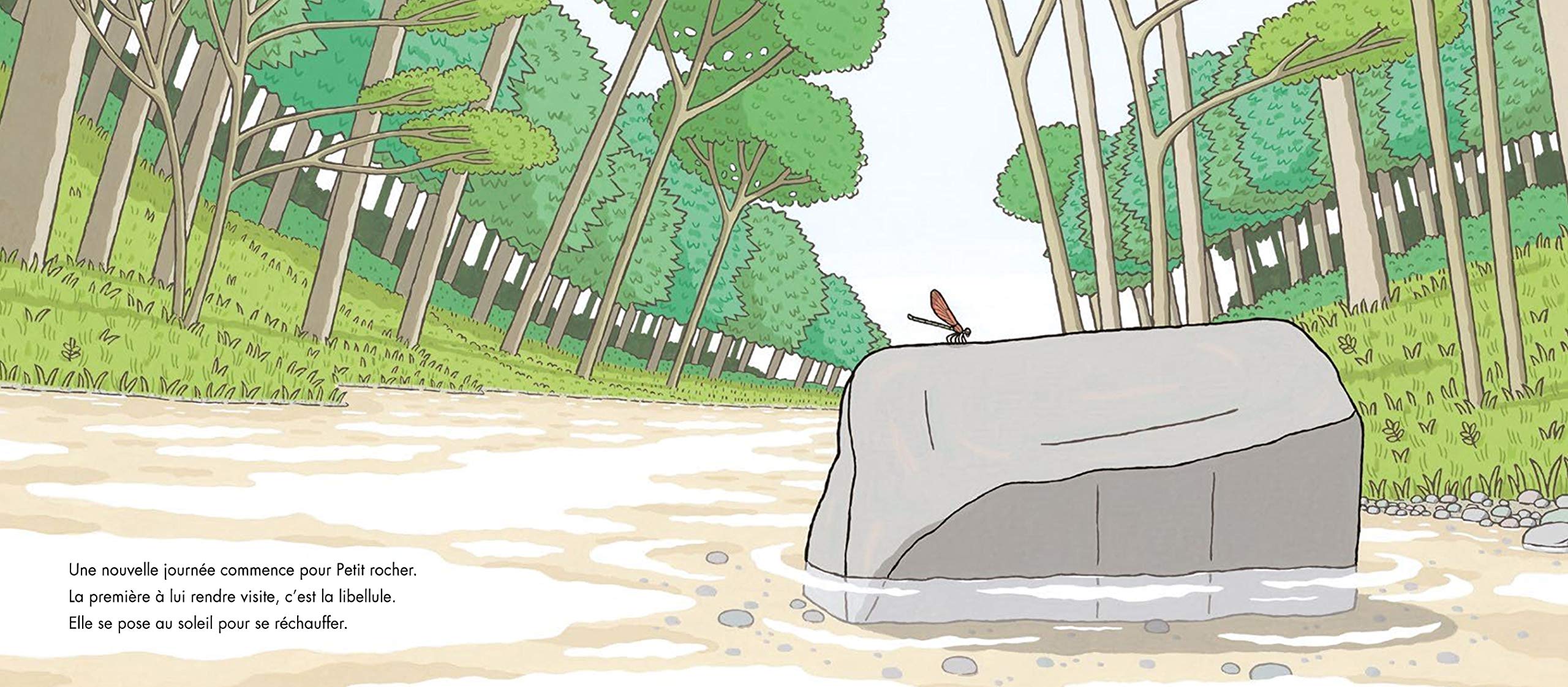 PETIT ROCHER/ YUICHI KASANO