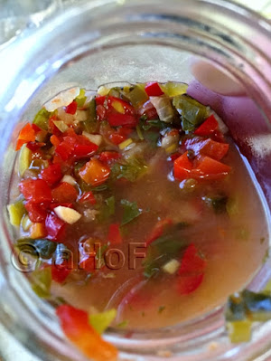 Ferment, Hot Pepper  Salsa