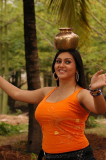 2011 namitha wallpapers_hot_HD_wallpapers