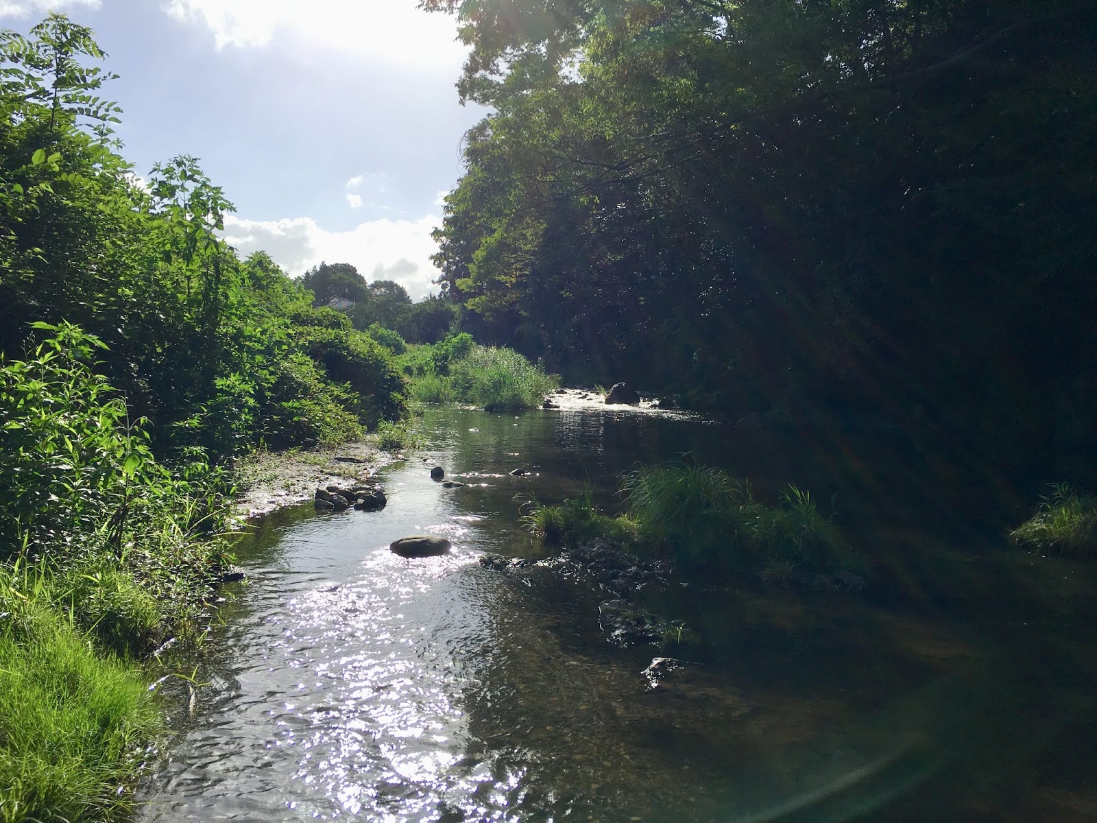 成木川でちょいの間 カワムツ釣り 名栗川の釣り 里川のテンカラ釣り Tenkaratrain