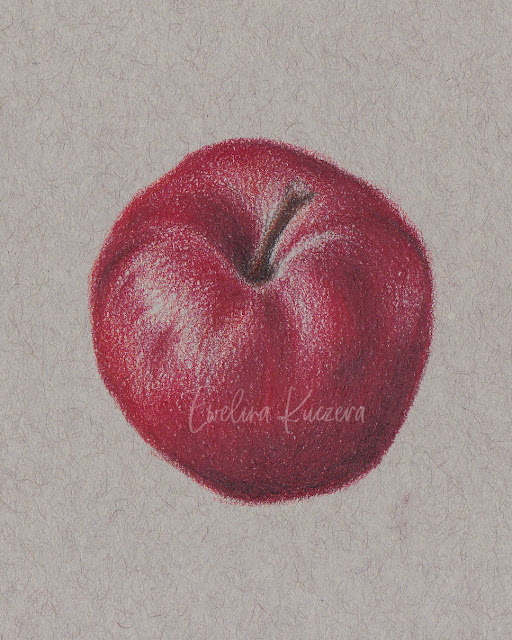 How to draw an apple with colored pencils - step by step tutorial