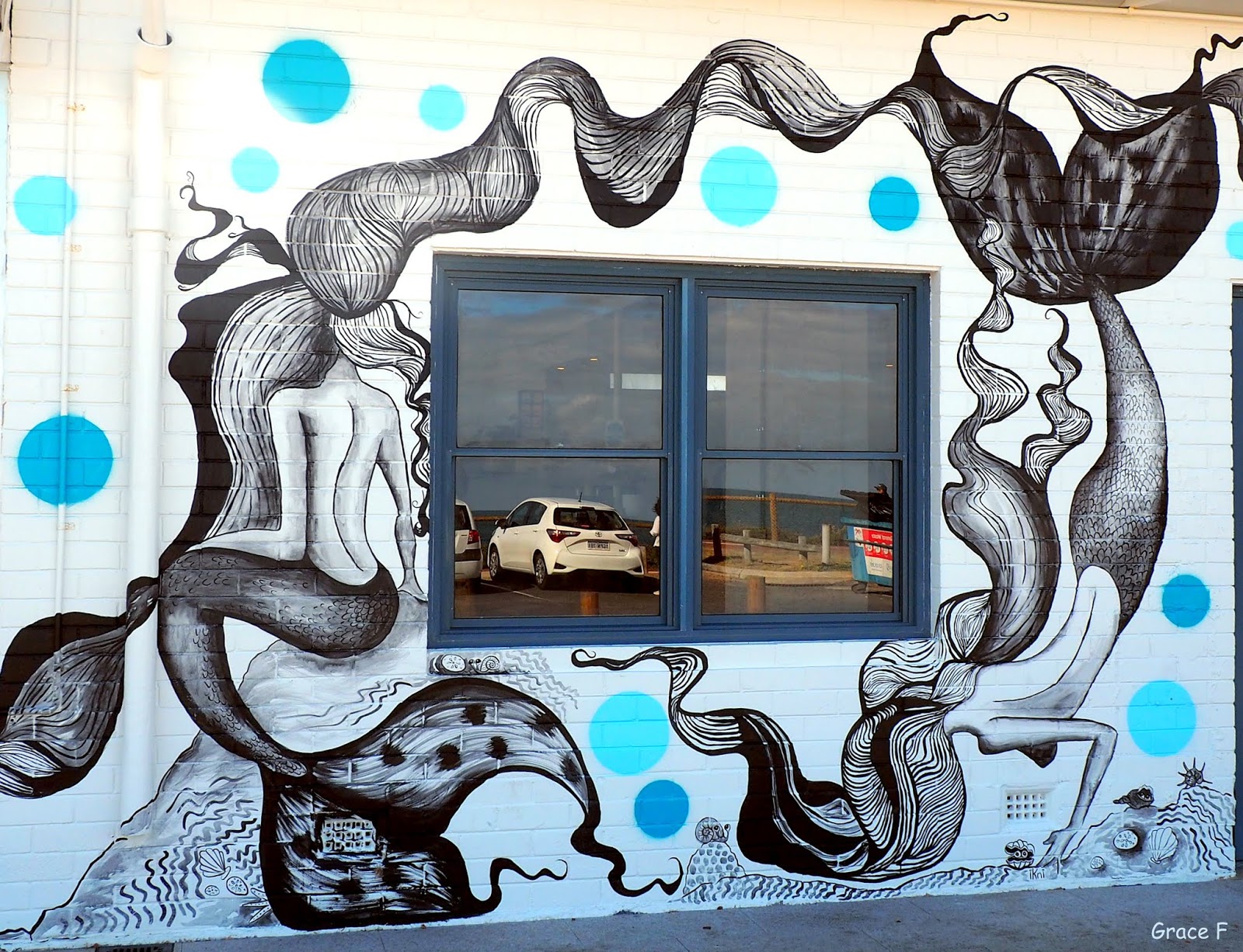 Perth Daily Photo : Sirens of the sea..