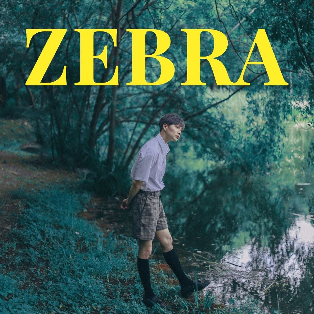 INTEC – ZEBRA – Single