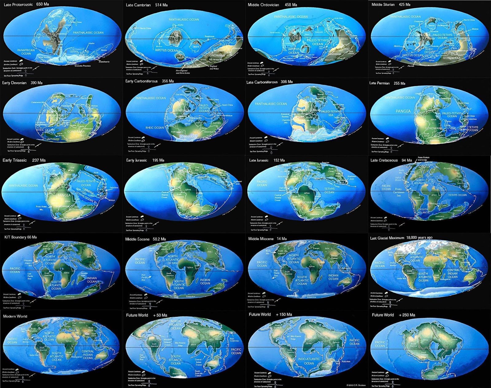 Continental drift in 20 steps from 650 million years in the past to 250 million years in the future