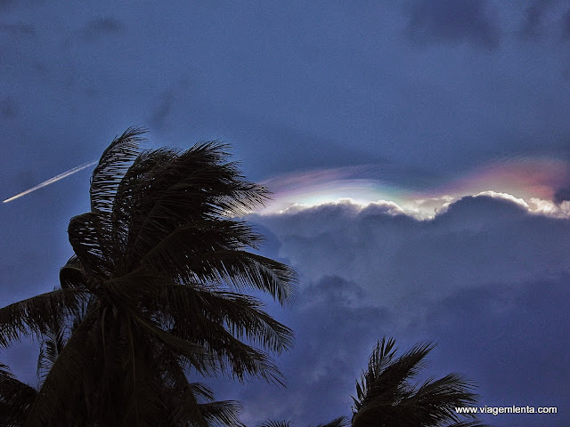 Aurora "equatorial"?