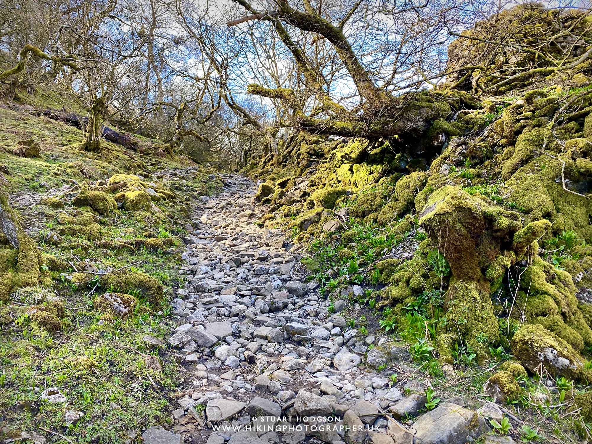 Keld muker walk circular river swaledale yorkshire dales wildflower meadow