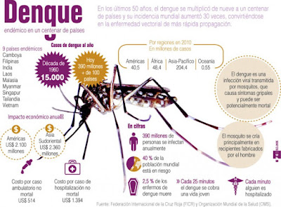 dengue sintomas enfermedad infografia imgenes mucus verano noticias
