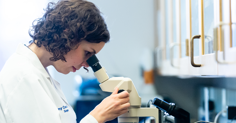 Hoo Stories: A UVa Student Blog: Choosing a Major at UVA