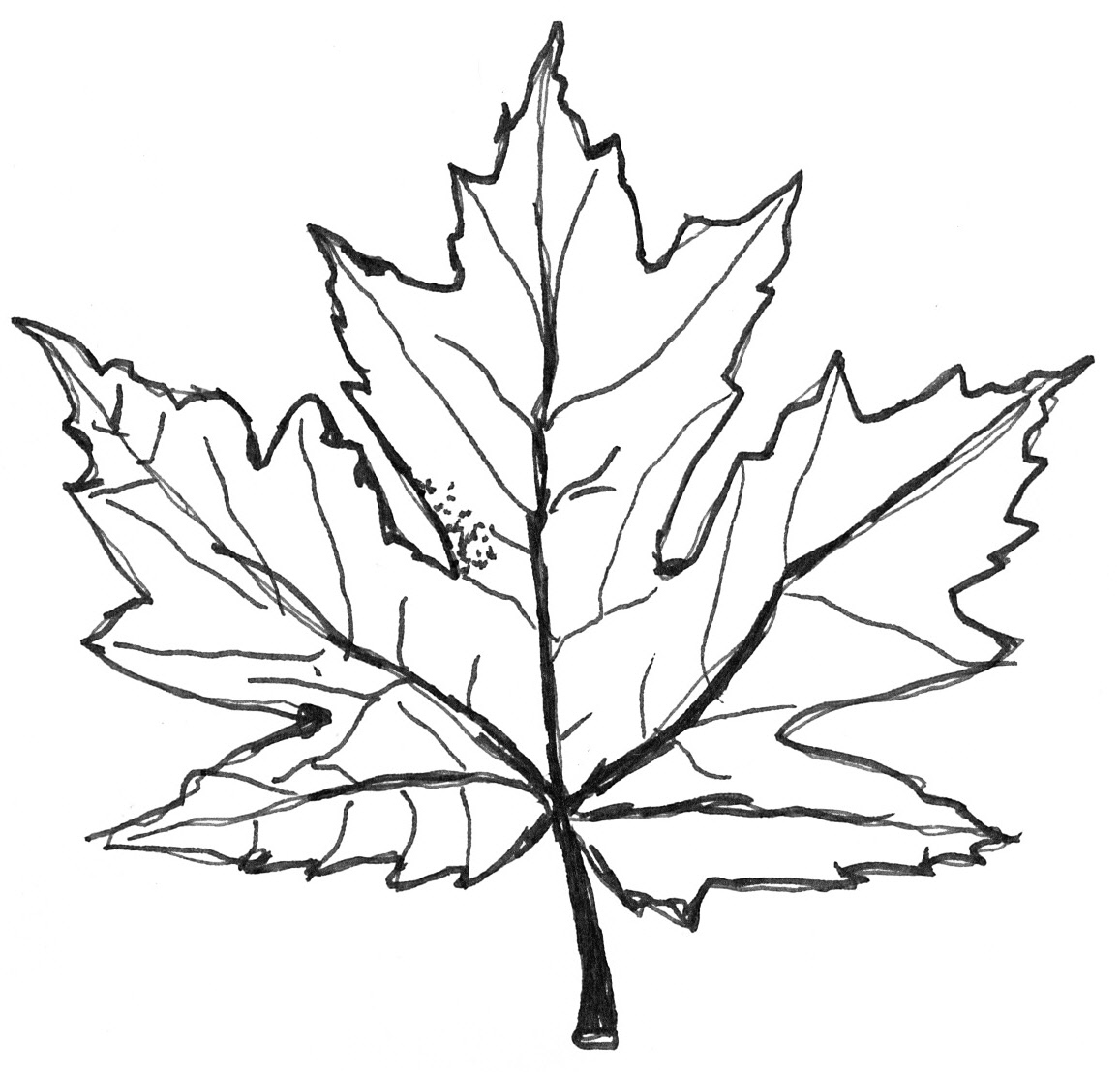 making maple syrup coloring pages - photo #24