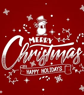 Traduzinho a mensagem: Merry Christmas and Happy Holidays significa, Feliz Natal e Boas Festas.