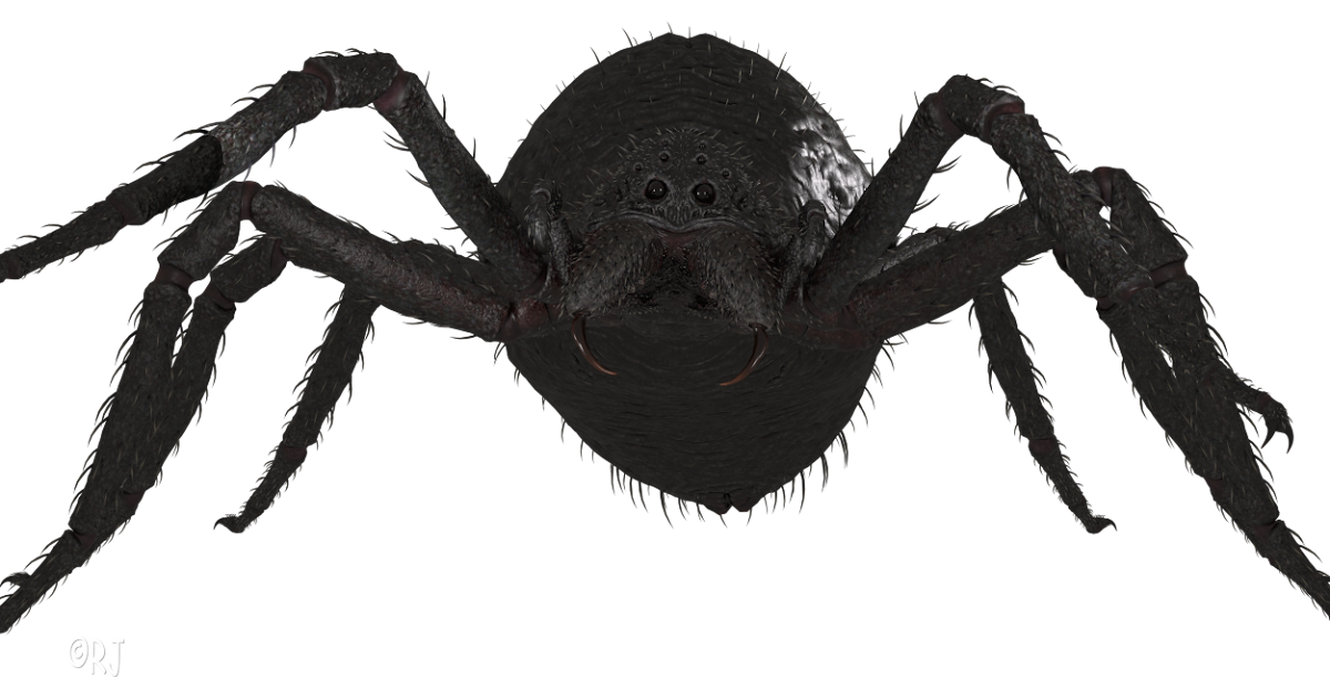 Delightfully Demented DazZariffic Giant Spider