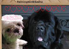 Remington and Sasha