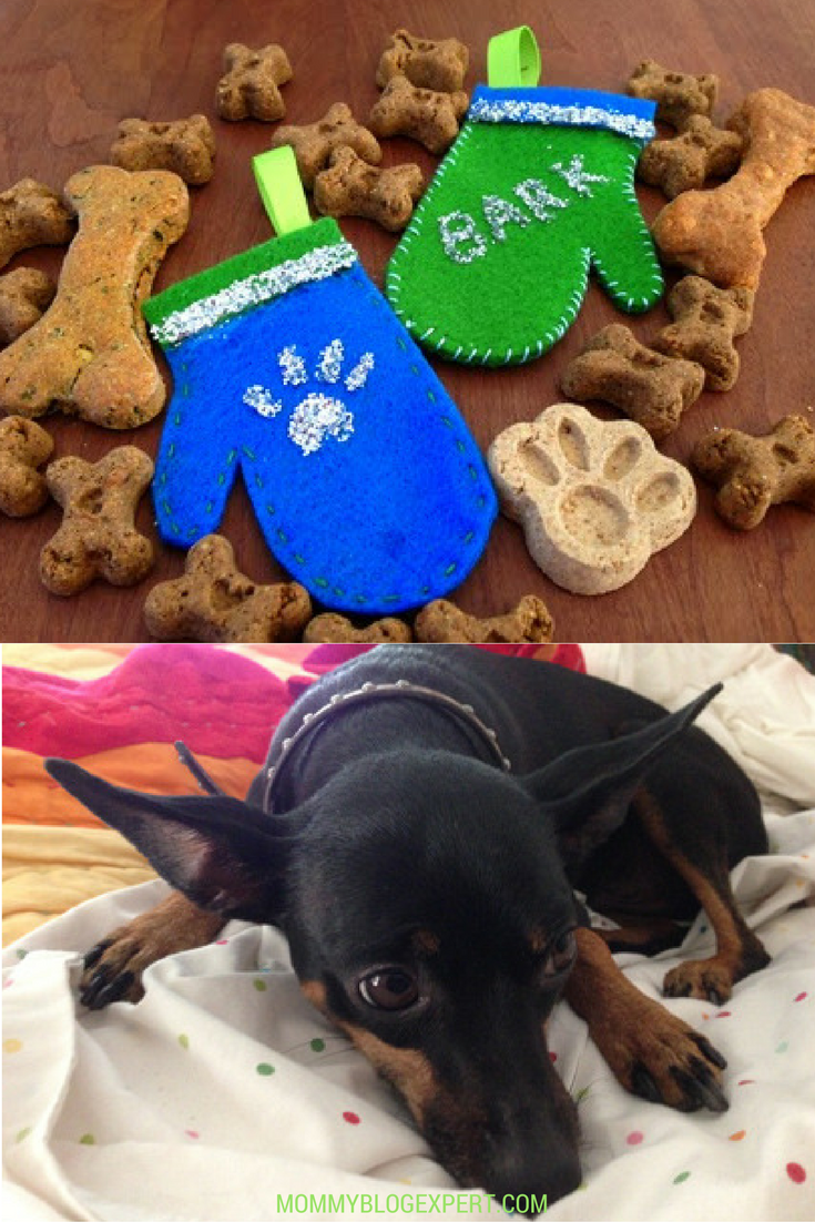 MOMMY BLOG EXPERT Dog Mitten Holiday DIY Ornament Easy Craft