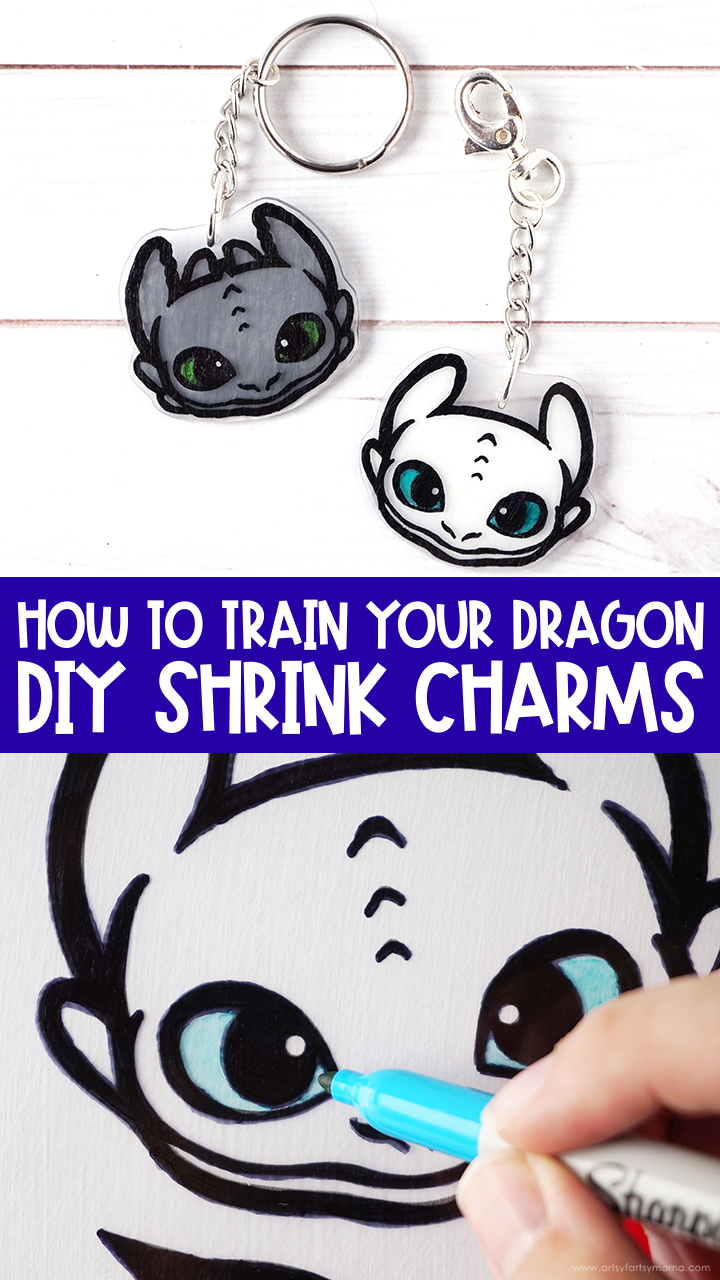 How to Train Your Dragon Shrink Charms