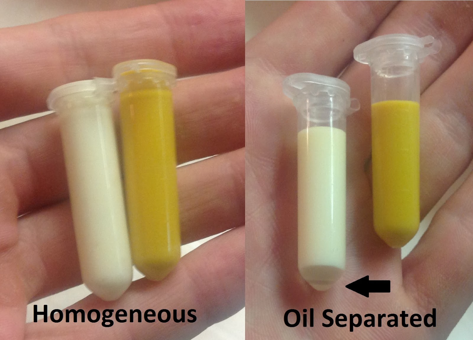 Science With Screens Experiment 56 Homemade Lab Centrifuge