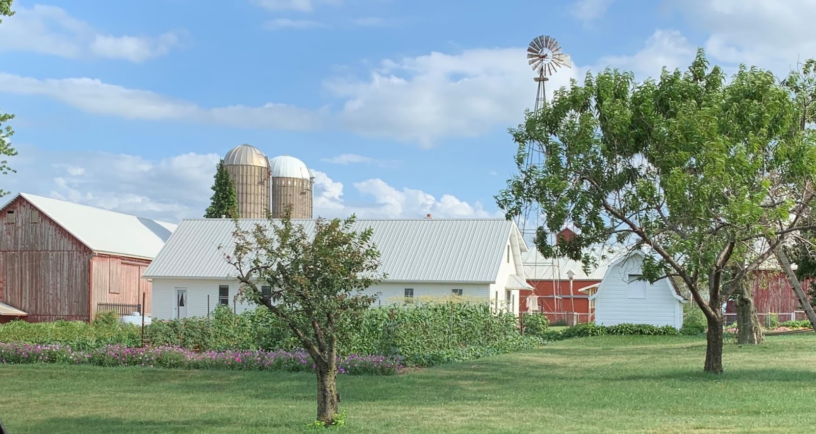 Amish Horses Amish Garden Tour