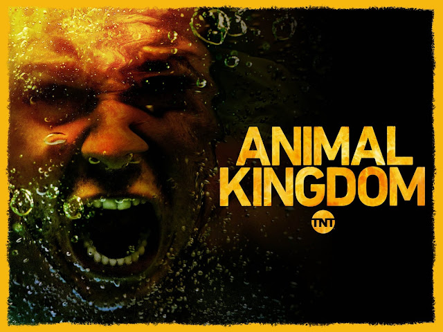 Streaming Animal Kingdom Season 4 Episode 5 Vostfr