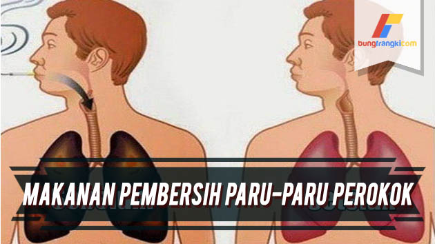 4 Makanan yang dapat Membersihkan Paru-paru Hanya dalam 72 Jam 4 Makanan yang dapat Membersihkan Paru-paru Hanya dalam 72 Jam