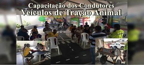 2ª Capacitação dos Condutores de Veículos de Tração Animal - VTA