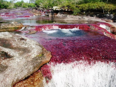 contioutra.com - O rio das 5 cores- Colômbia