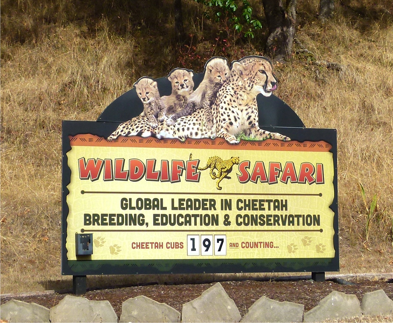 Wildlife Safari near I-5 in southern Oregon year-round family RV Short