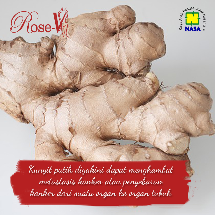 Jenis Kunyit Putih Untuk Obat Kanker Informasi Kesehatan 2020