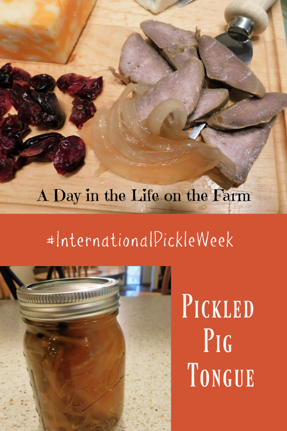 A Day in the Life on the Farm Pickled Pork Tongue InternationalPickleWeek