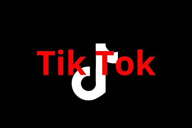 How to Delete TikTok Account temporarily disabled - WORKBOM- Workbom is
