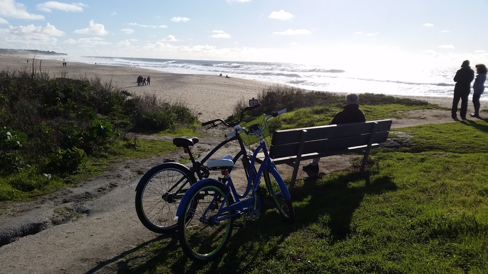 beachcomber bicycle
