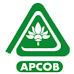 APCOB 2021 Jobs Recruitment Notification of Staff Assistant and More 61 Posts